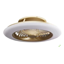 Mantra VENT ALISIO DC D62 LED 4900LM CCT ORO